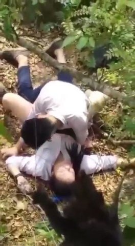 นักเรียนลาวเอากันในป่า